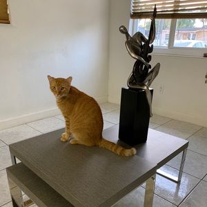 Meet your Posher, Rodolfo